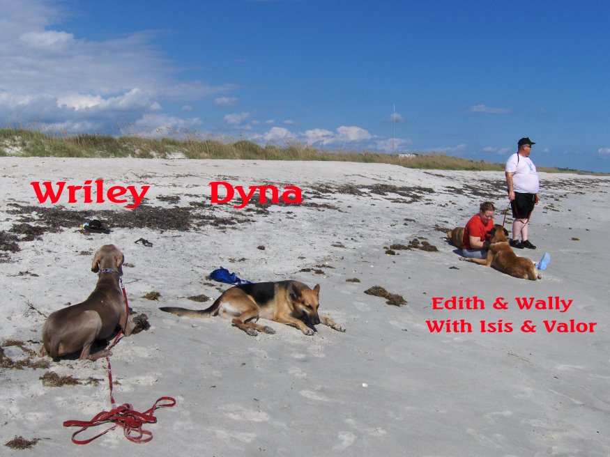 Scheurman's K9 Academy Dog Training Jacksonville Florida